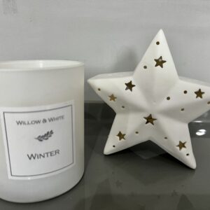 Ceramic LED white star